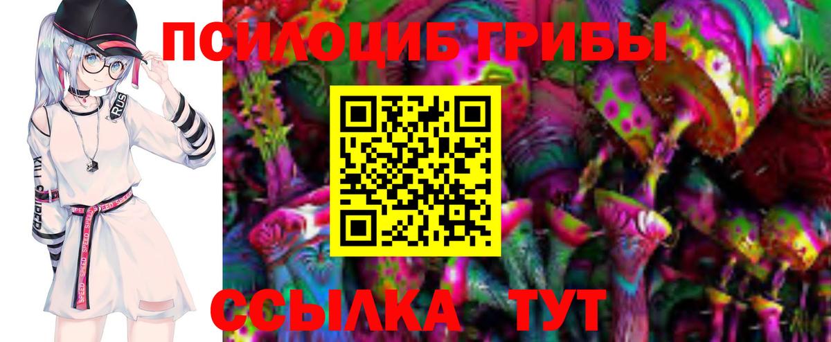 Псилоцибиновые грибы GOLDEN TEACHER Альметьевск
