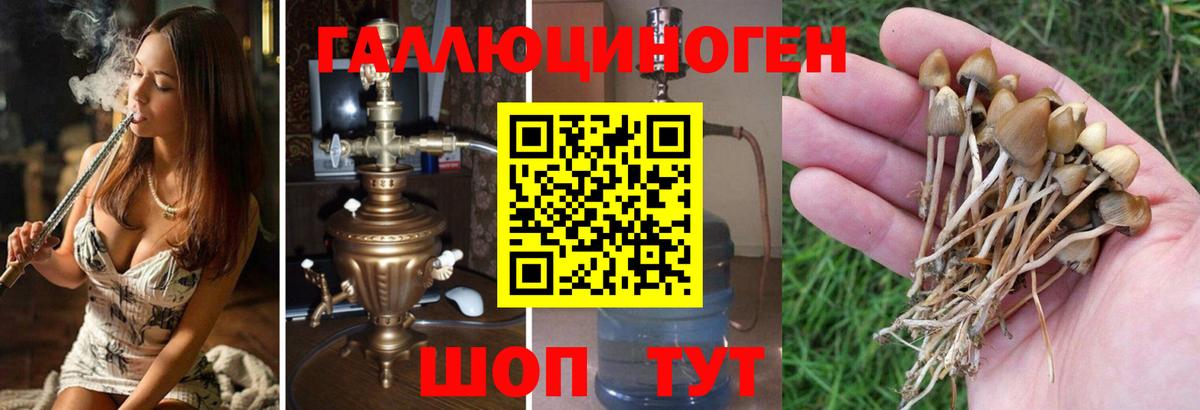 Галлюциногенные грибы мицелий  Вход с VPN  закладка  Альметьевск 